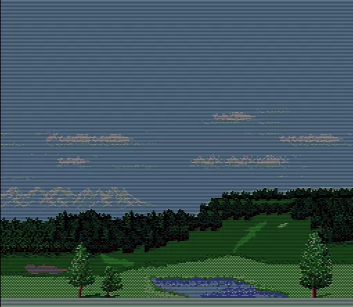 Image n° 1 - screenshots  : Ganbare Golf Boys